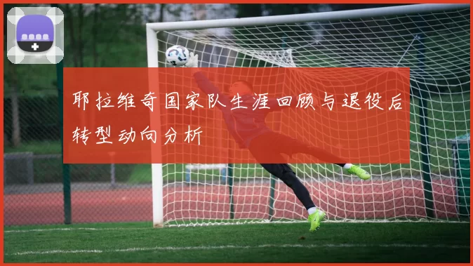 耶拉维奇国家队生涯回顾与退役后转型动向分析